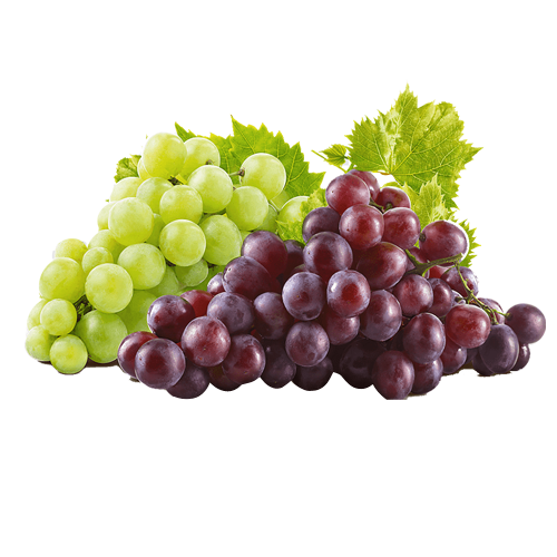 Fresh Grapes