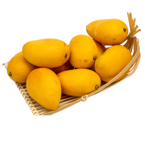 Fresh Mangoes for Sale