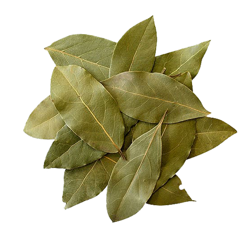 Bay Leaf