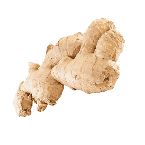 Dried Ginger